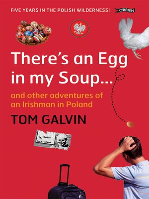 cover image of There's an Egg in my Soup